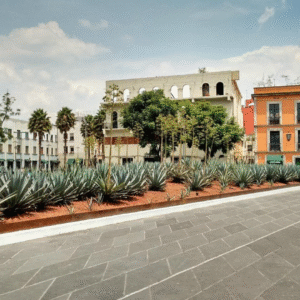 Tour Mariachi & Tequila wiht Dinner ( Mariachi y tequila con cena )