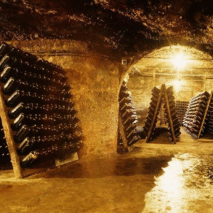 Tour Privado del Vino y Queso (Visita a la Bodega de Vinos Freixenet y Peña de Bernal)