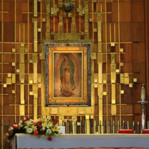 Tour Privado a la basilica de Guadalupe