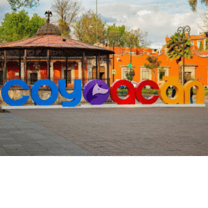 Tour Coyoacan y Xochimilco & Frida Kahlo (panoramico)