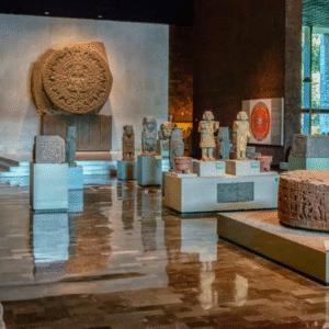 Tour  Centro Histórico y Museo de Antropología
