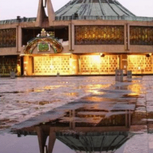 Tour Basilica de Guadalupe