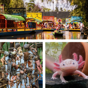 Tour Xochimilco, Isla de las muñecas, Museo del Ajolote