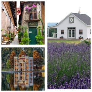 Tour Val Quirico, Hacienda de Chautla y Rancho de lavanda